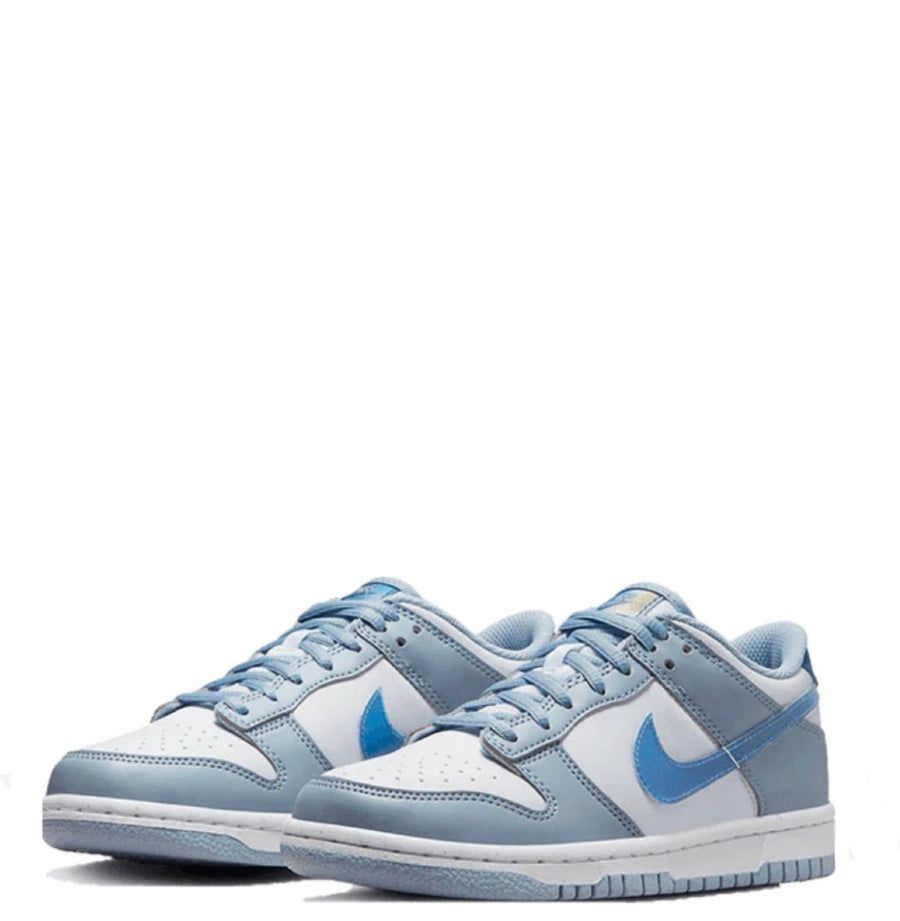 Nike Dunk Low Hologram