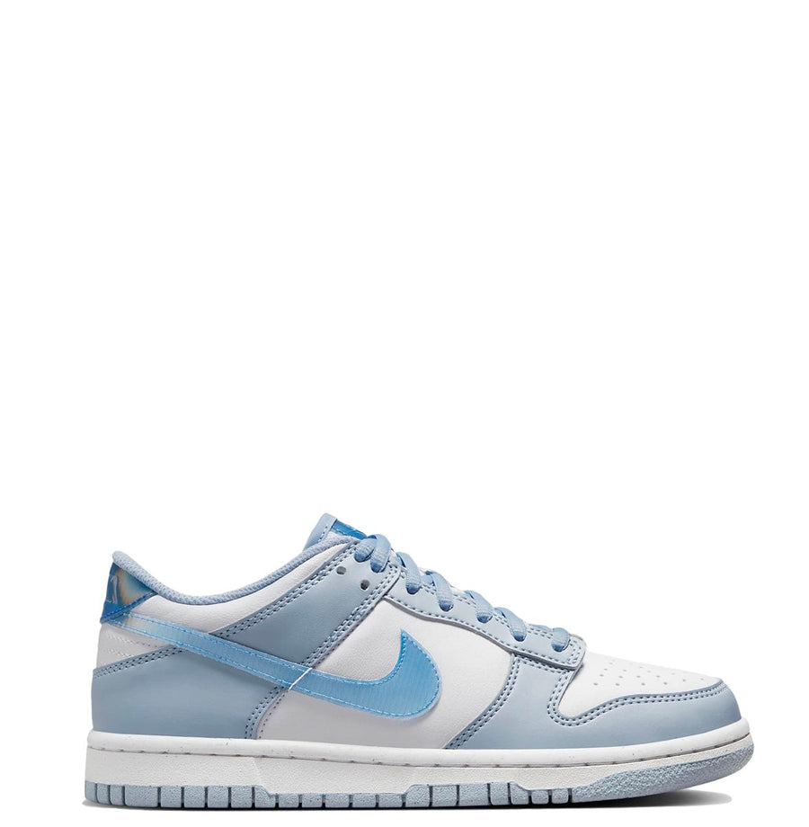 Nike Dunk Low Hologram